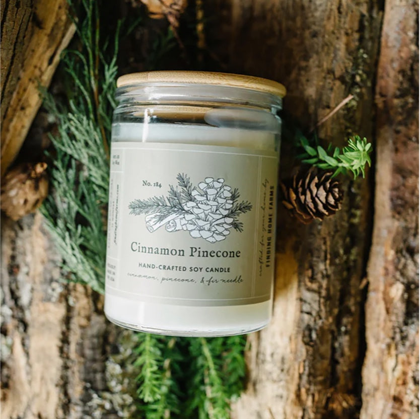 Cinnamon Pinecone candle on a log with pinecones.